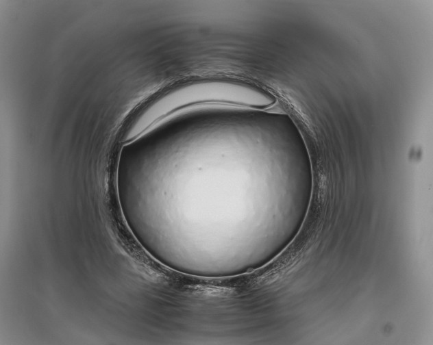 X0000097300539200802291815