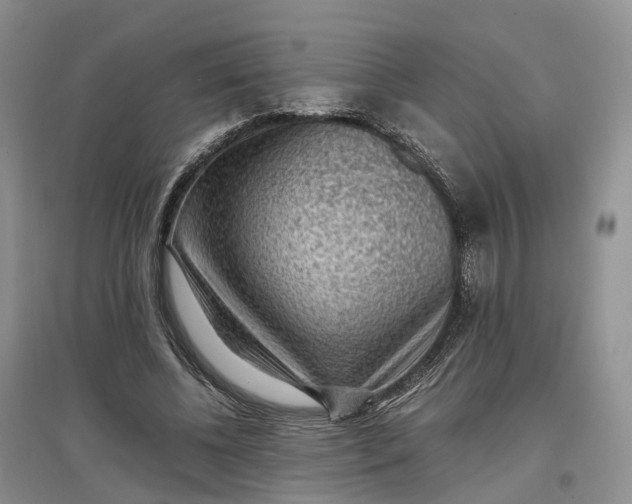 X0000097300540200802291815