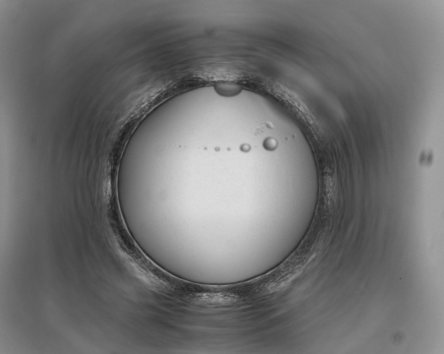 X0000097300541200802291815