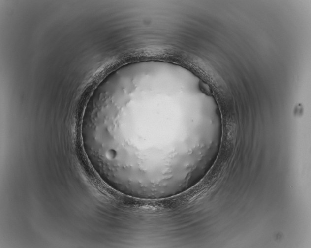 X0000097300542200802291815