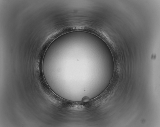 X0000097300543200802291815