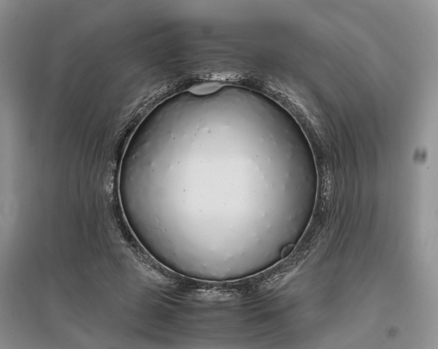 X0000097300545200802291815