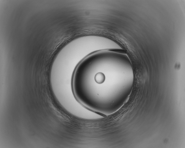 X0000097300546200802291815