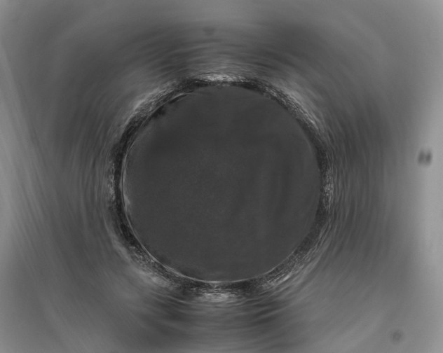 X0000097300547200802291815