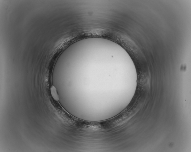 X0000097300548200802291815