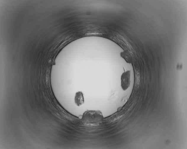 X0000097300549200802291815