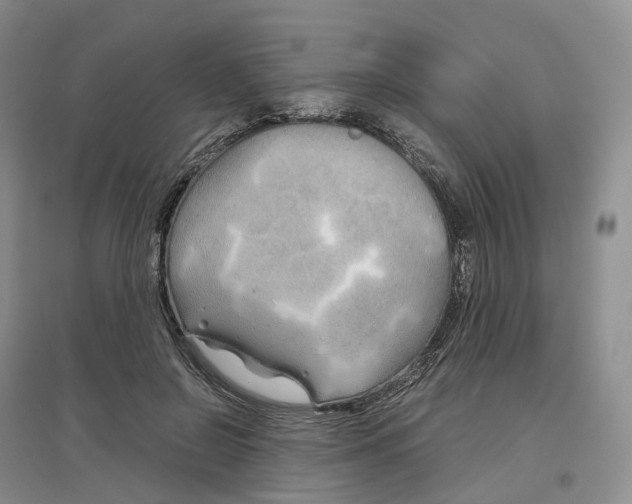 X0000097300550200802291815