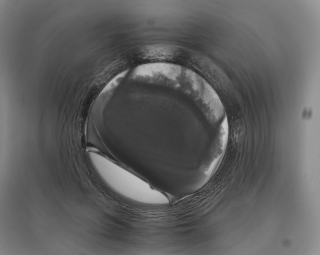 X0000097300551200802291816