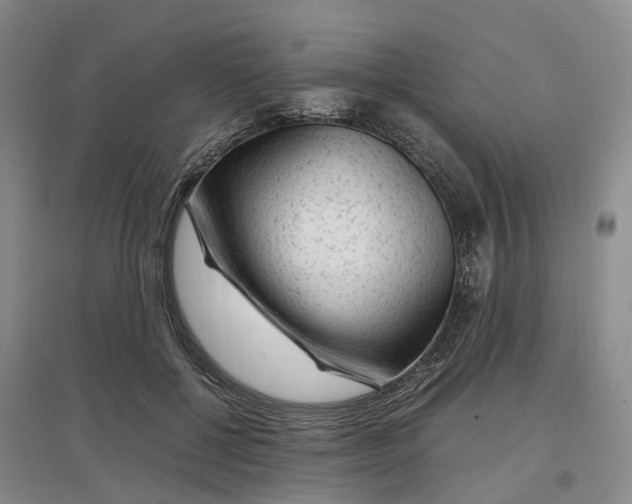 X0000097300552200802291816