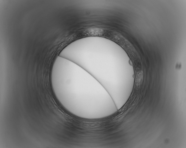 X0000097300553200802291816