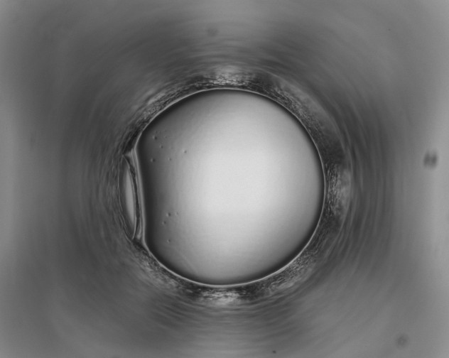 X0000097300554200802291816