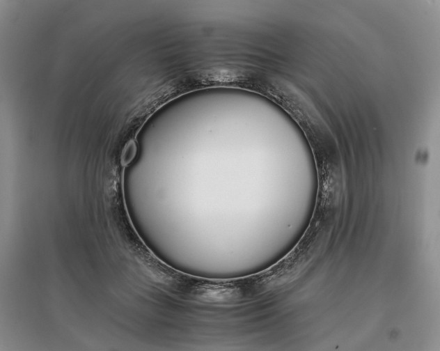 X0000097300555200802291816