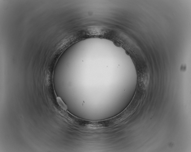 X0000097300556200802291816