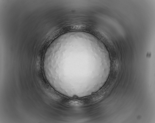 X0000097300557200802291816