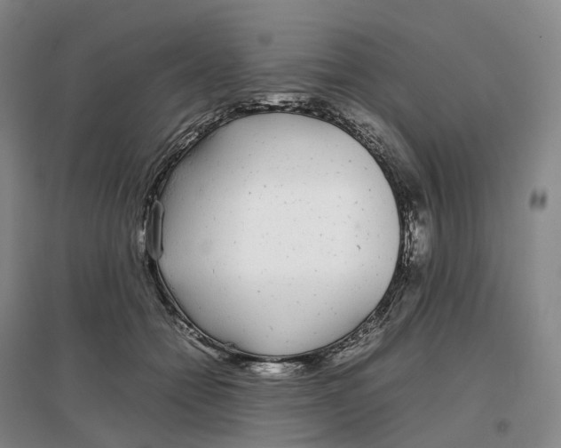 X0000097300558200802291816