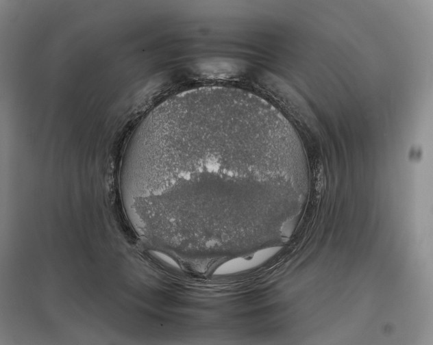 X0000097300559200802291816