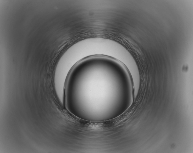 X0000097300560200802291816