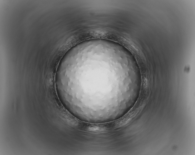 X0000097300561200802291816