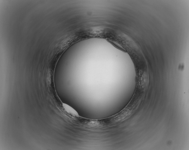 X0000097300562200802291816