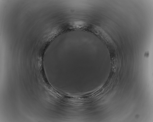 X0000097300563200802291816