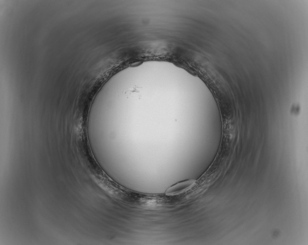 X0000097300564200802291816