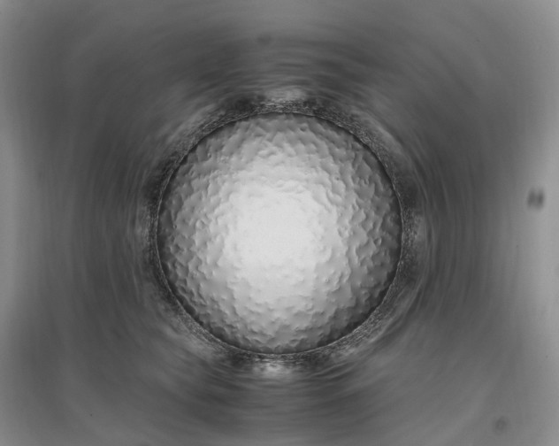 X0000097300565200802291816