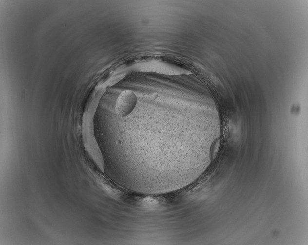 X0000097300566200802291816