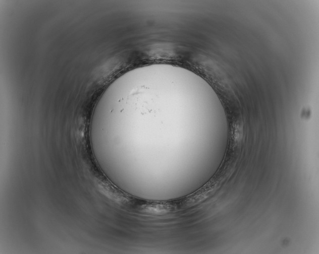 X0000097300567200802291816