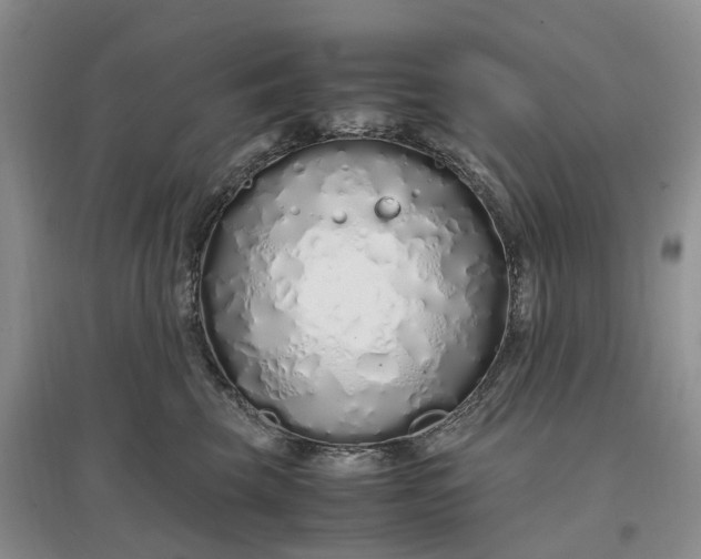 X0000097300569200802291816