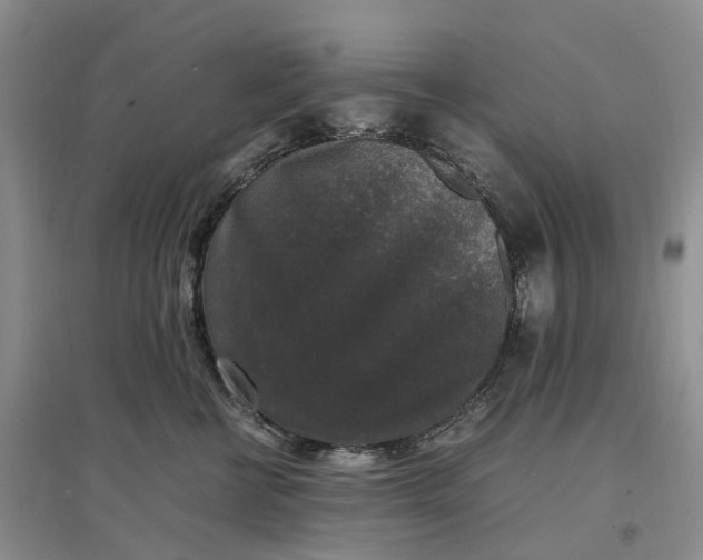 X0000097300570200802291816