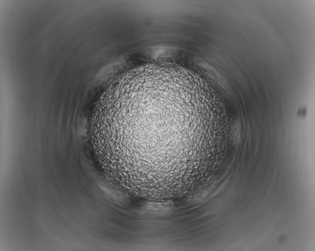 X0000097300571200802291816