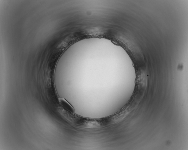 X0000097300572200802291816