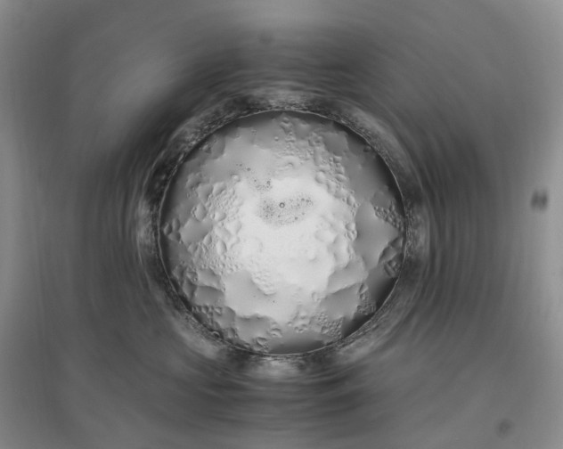 X0000097300573200802291816