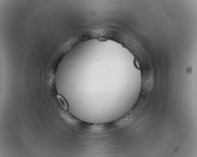 X0000097300574200802291816