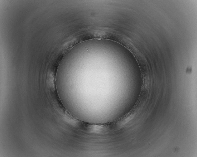 X0000097300575200802291816