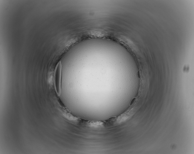 X0000097300576200802291816