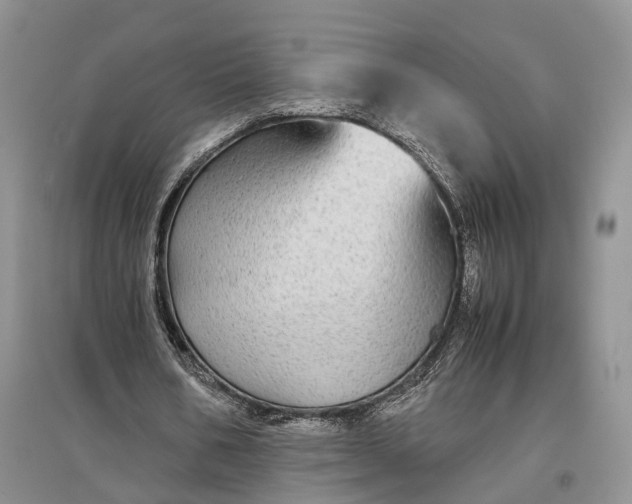 X0000097300578200802291815