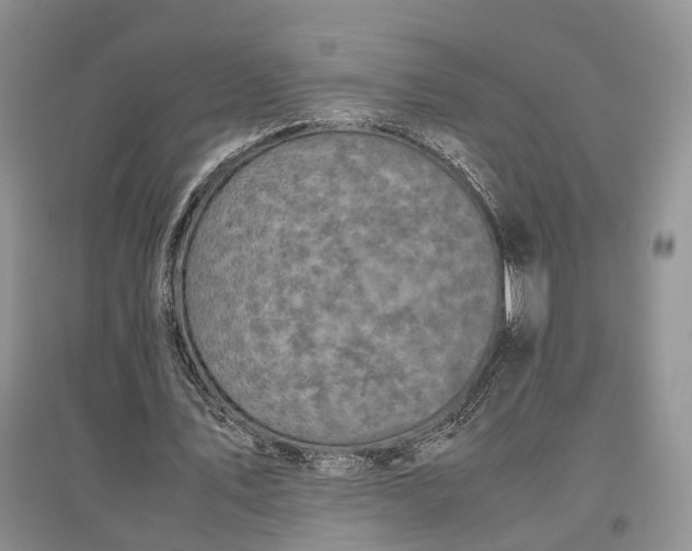 X0000097300579200802291815