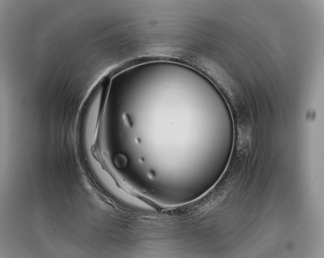 X0000097300580200802291815