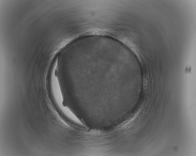 X0000097300581200802291815