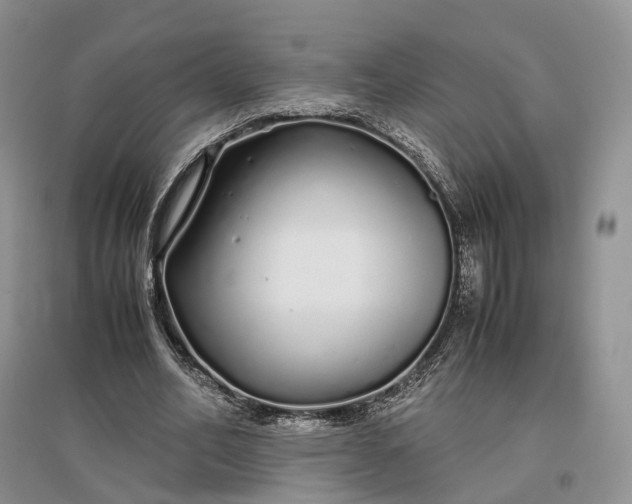 X0000097300582200802291815