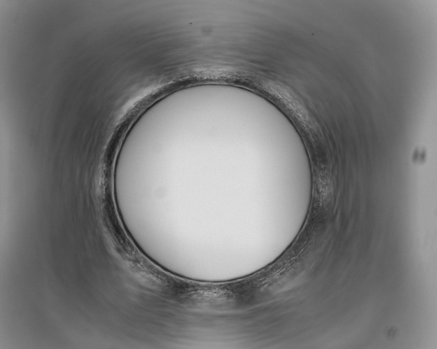 X0000097300583200802291815