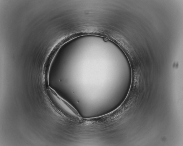 X0000097300584200802291815