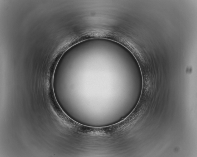 X0000097300586200802291815