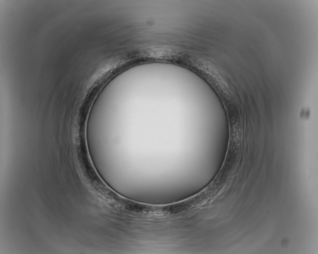 X0000097300587200802291815