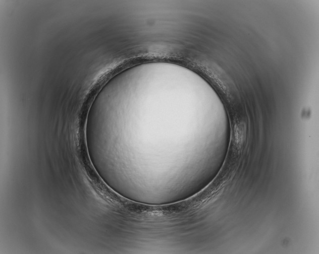 X0000097300588200802291815