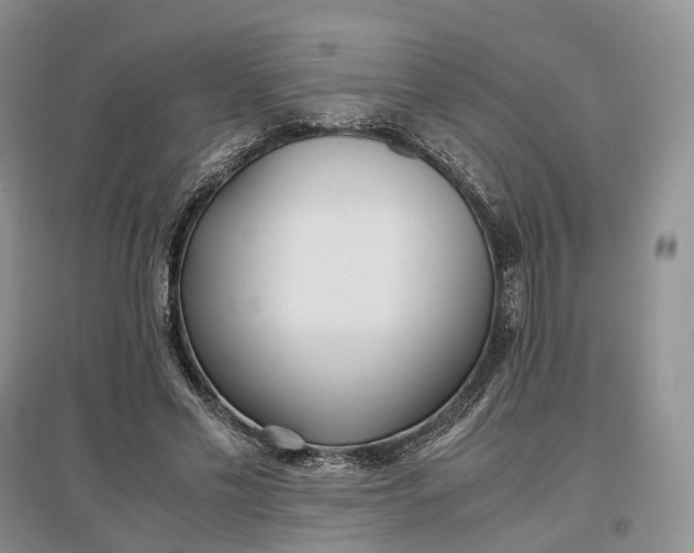 X0000097300589200802291815