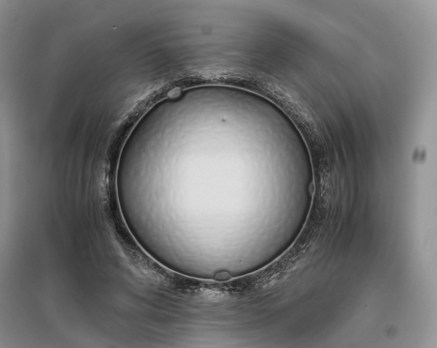 X0000097300592200802291815