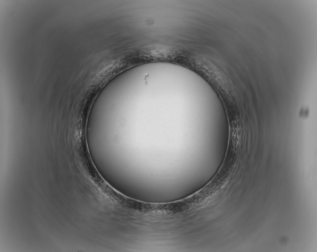 X0000097300593200802291815