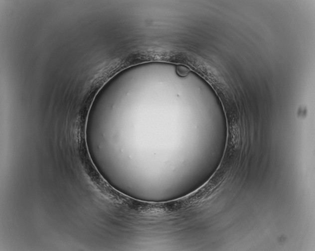 X0000097300594200802291815